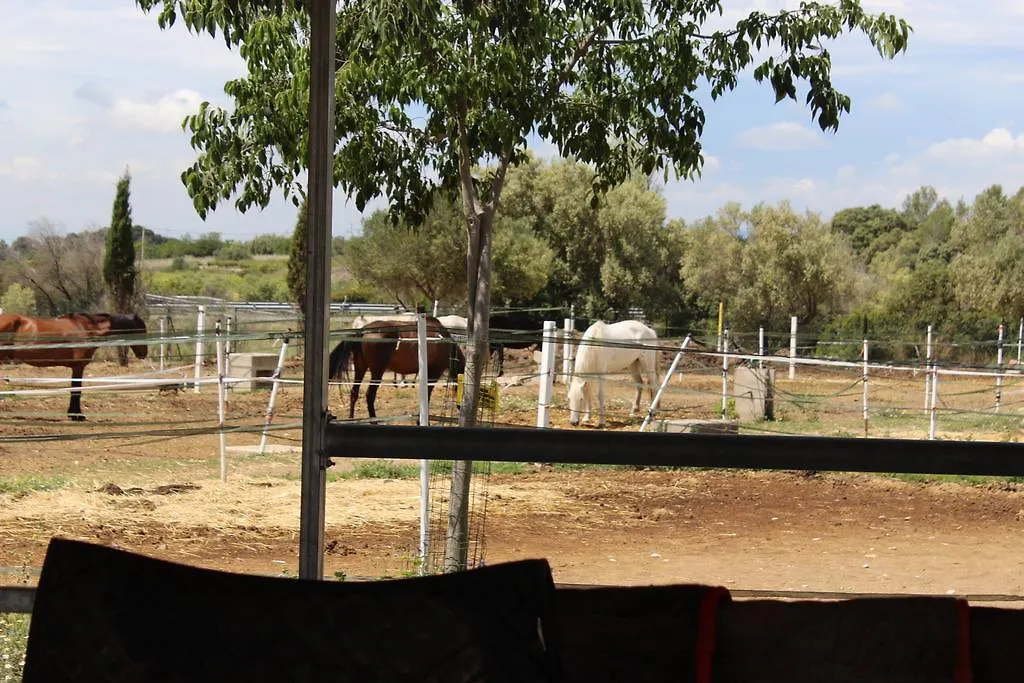 Hôtel Rocaplana Club De Campo à Vilarrodona Camping