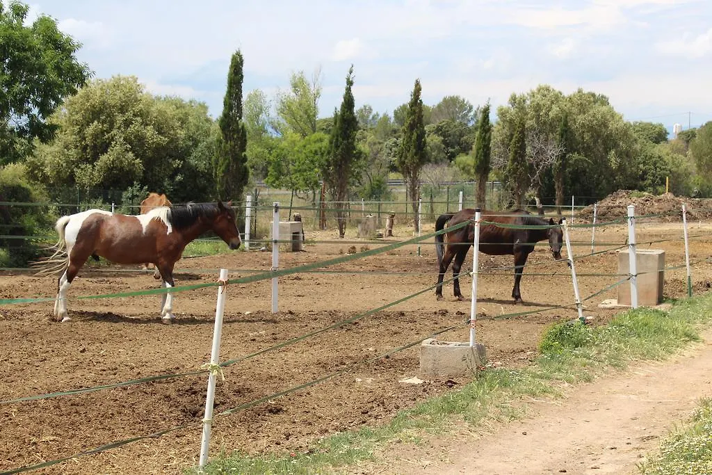 Hôtel Rocaplana Club De Campo à Vilarrodona Espagne