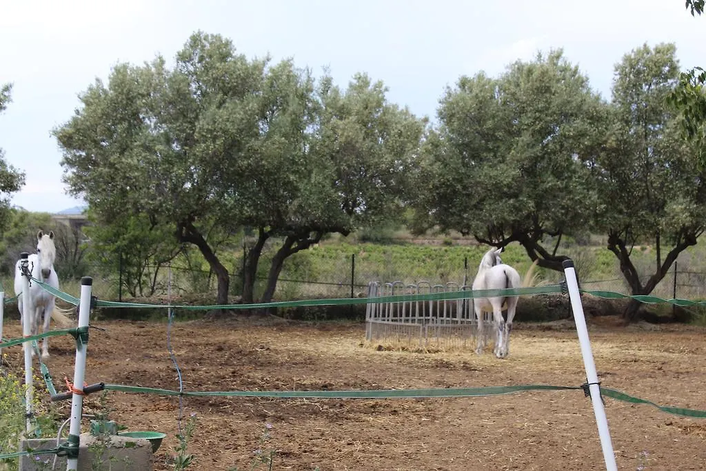 Camping Hôtel Rocaplana Club De Campo à Vilarrodona