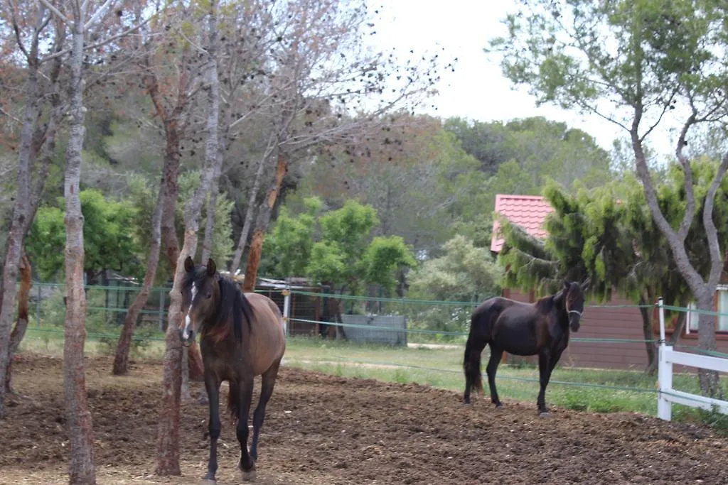 Hôtel Rocaplana Club De Campo à Vilarrodona