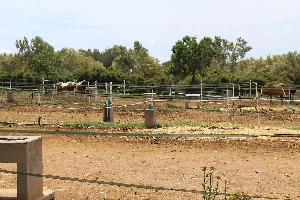 Hôtel Rocaplana Club De Campo à Vilarrodona Camping