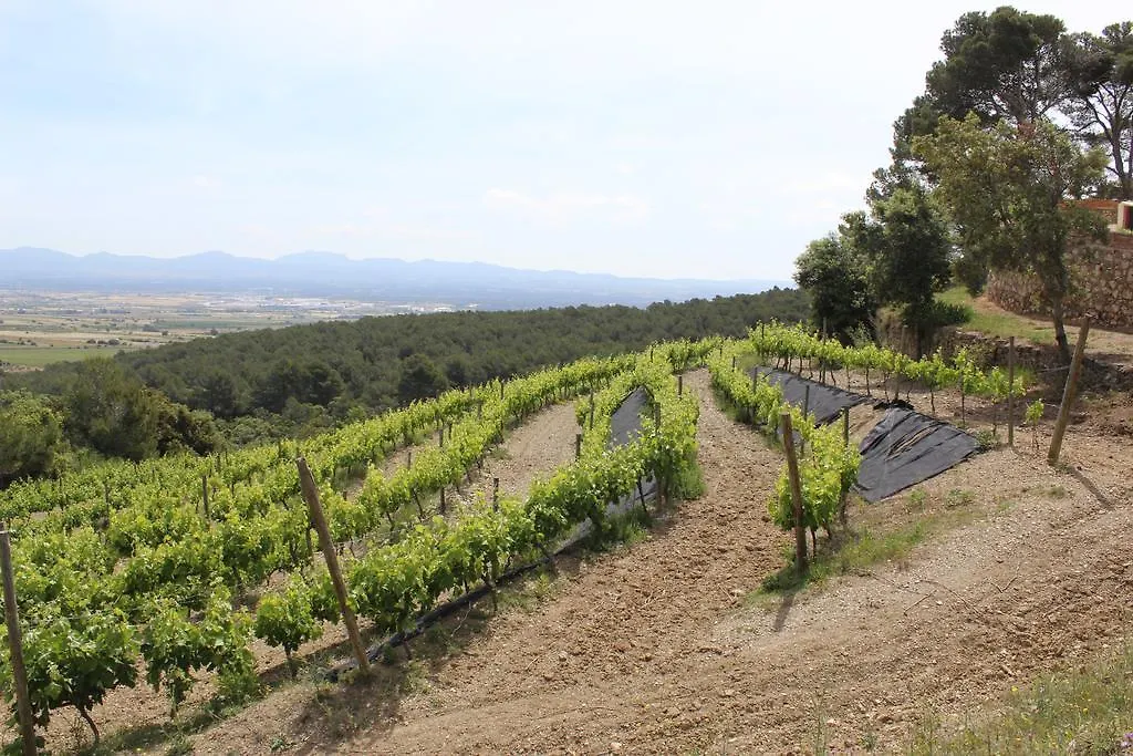 Camping Hôtel Rocaplana Club De Campo à Vilarrodona Espagne