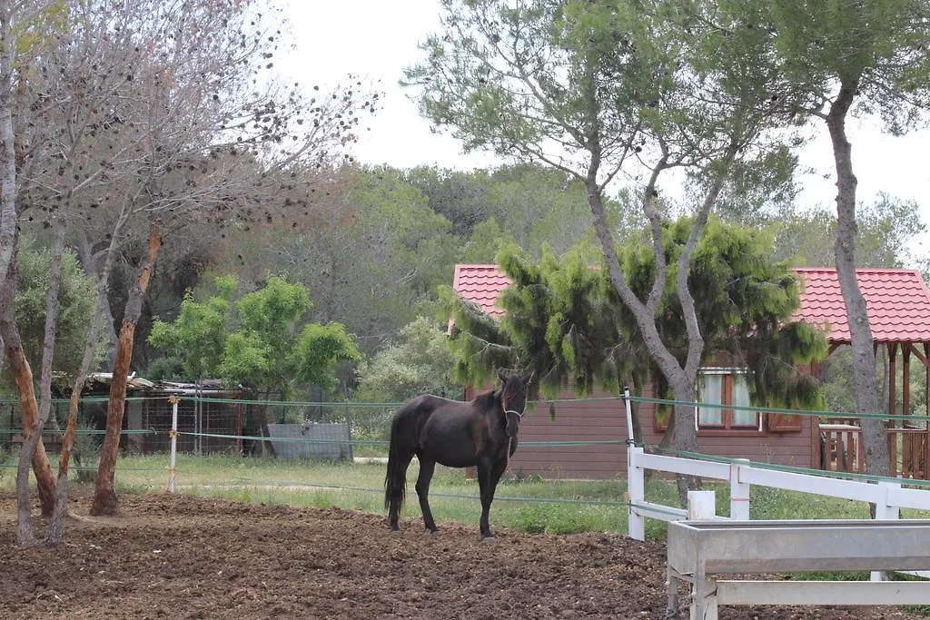 Hôtel Rocaplana Club De Campo à Vilarrodona Camping
